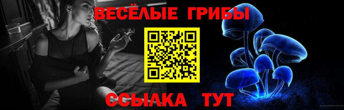 сколько стоит  Псилоцибиновые грибы Psilocybe  Коломна  Вход с VPN  Псилоцибиновые грибы Cubensis 